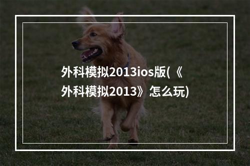 外科模拟2013ios版(《外科模拟2013》怎么玩)