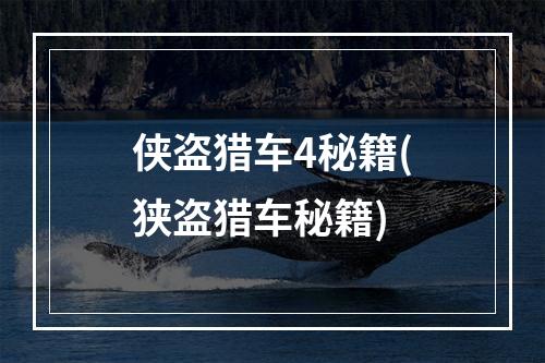 侠盗猎车4秘籍(狭盗猎车秘籍)