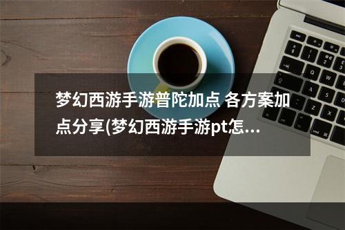 梦幻西游手游普陀加点 各方案加点分享(梦幻西游手游pt怎么加点普陀山加点详细解析推荐)