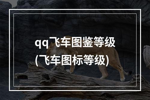 qq飞车图鉴等级(飞车图标等级)