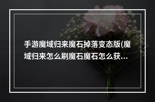 手游魔域归来魔石掉落变态版(魔域归来怎么刷魔石魔石怎么获得)