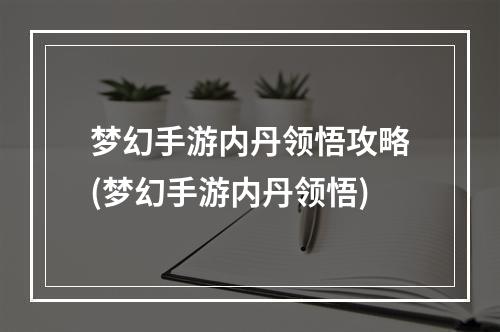 梦幻手游内丹领悟攻略(梦幻手游内丹领悟)