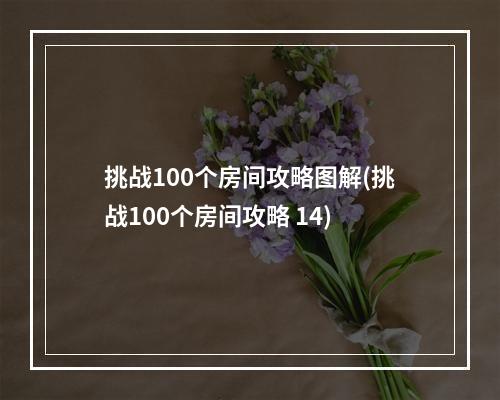 挑战100个房间攻略图解(挑战100个房间攻略 14)