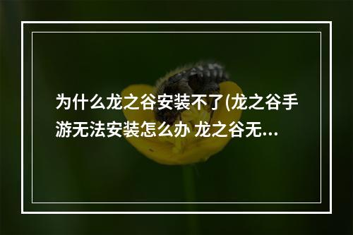 为什么龙之谷安装不了(龙之谷手游无法安装怎么办 龙之谷无法安装解决方法  )