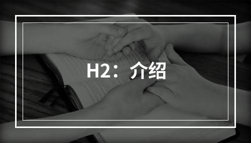 H2：介绍