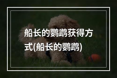 船长的鹦鹉获得方式(船长的鹦鹉)