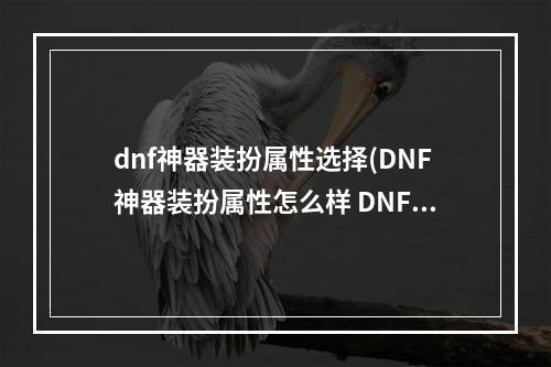 dnf神器装扮属性选择(DNF神器装扮属性怎么样 DNF神器装扮属性详情)