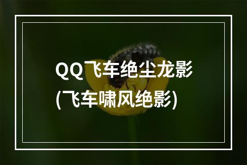 QQ飞车绝尘龙影(飞车啸风绝影)