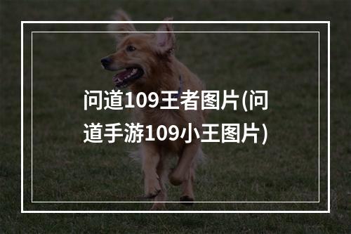 问道109王者图片(问道手游109小王图片)