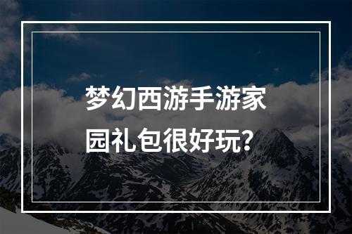 梦幻西游手游家园礼包很好玩？