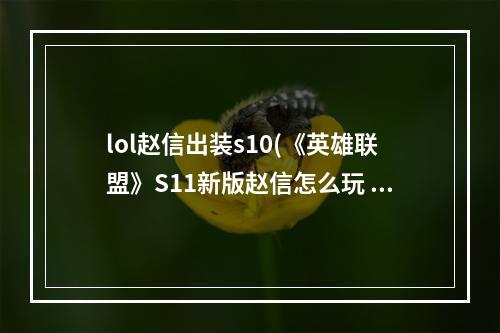 lol赵信出装s10(《英雄联盟》S11新版赵信怎么玩 新版赵信玩法推荐  )