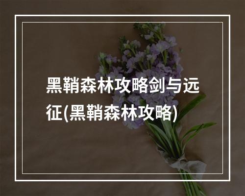 黑鞘森林攻略剑与远征(黑鞘森林攻略)