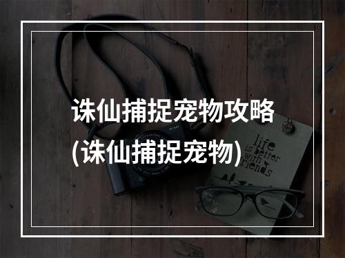 诛仙捕捉宠物攻略(诛仙捕捉宠物)