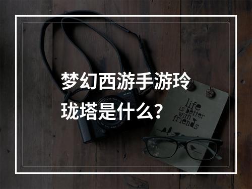 梦幻西游手游玲珑塔是什么？