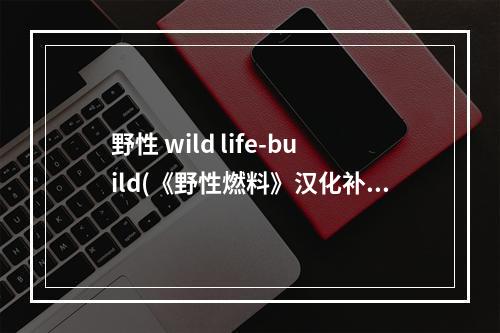 野性 wild life-build(《野性燃料》汉化补丁报错按键失灵解决办法 )