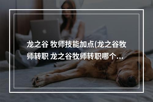 龙之谷 牧师技能加点(龙之谷牧师转职 龙之谷牧师转职哪个职业好)