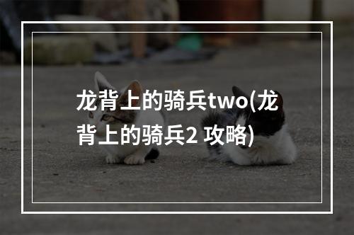 龙背上的骑兵two(龙背上的骑兵2 攻略)