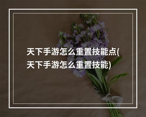 天下手游怎么重置技能点(天下手游怎么重置技能)