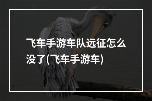 飞车手游车队远征怎么没了(飞车手游车)