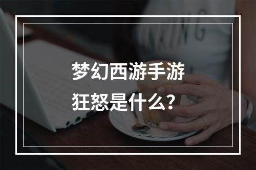 梦幻西游手游狂怒是什么？