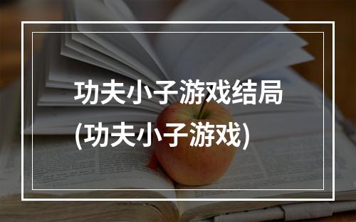 功夫小子游戏结局(功夫小子游戏)