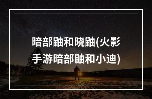 暗部鼬和晓鼬(火影手游暗部鼬和小迪)