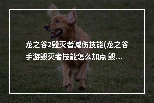 龙之谷2毁灭者减伤技能(龙之谷手游毁灭者技能怎么加点 毁灭者技能加点攻略  )