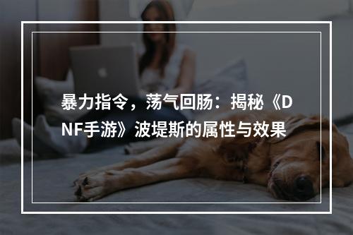 暴力指令，荡气回肠：揭秘《DNF手游》波堤斯的属性与效果