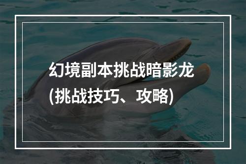 幻境副本挑战暗影龙 (挑战技巧、攻略)