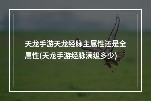 天龙手游天龙经脉主属性还是全属性(天龙手游经脉满级多少)