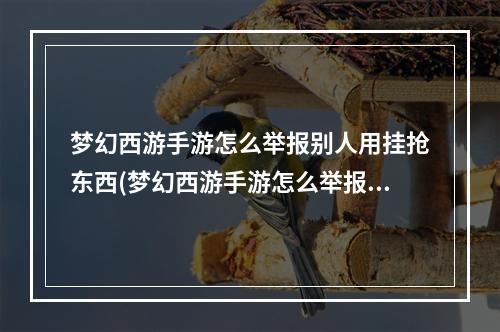 梦幻西游手游怎么举报别人用挂抢东西(梦幻西游手游怎么举报)