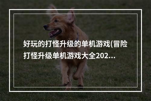 好玩的打怪升级的单机游戏(冒险打怪升级单机游戏大全2022 好玩的打怪单机游戏推荐)