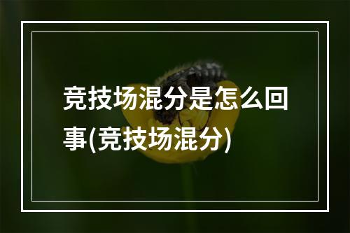 竞技场混分是怎么回事(竞技场混分)