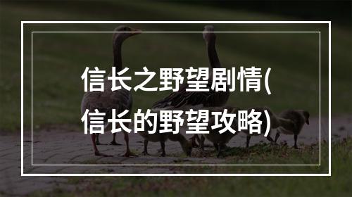 信长之野望剧情(信长的野望攻略)