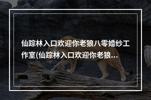 仙踪林入口欢迎你老狼八零婚纱工作室(仙踪林入口欢迎你老狼)