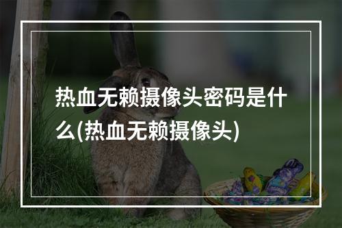 热血无赖摄像头密码是什么(热血无赖摄像头)