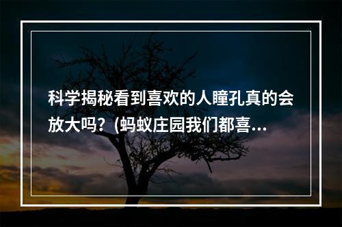 科学揭秘看到喜欢的人瞳孔真的会放大吗？(蚂蚁庄园我们都喜欢扮演爱情专家)