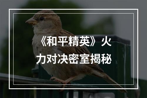 《和平精英》火力对决密室揭秘