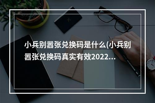 小兵别嚣张兑换码是什么(小兵别嚣张兑换码真实有效2022礼包码领取)