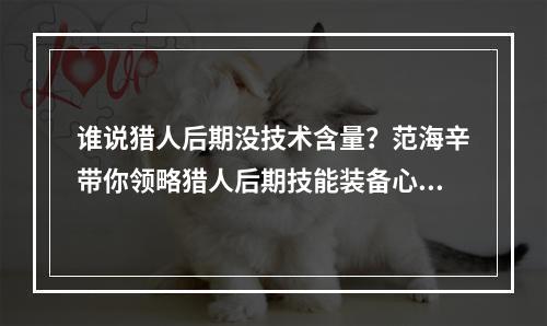 谁说猎人后期没技术含量？范海辛带你领略猎人后期技能装备心得