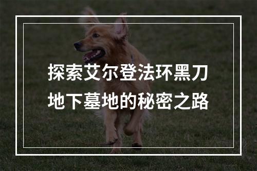 探索艾尔登法环黑刀地下墓地的秘密之路