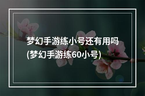 梦幻手游练小号还有用吗(梦幻手游练60小号)