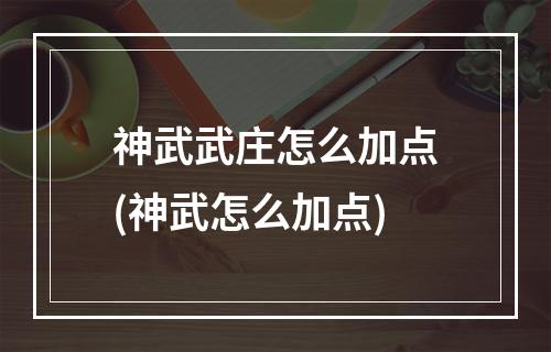 神武武庄怎么加点(神武怎么加点)