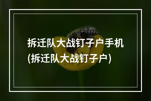 拆迁队大战钉子户手机(拆迁队大战钉子户)