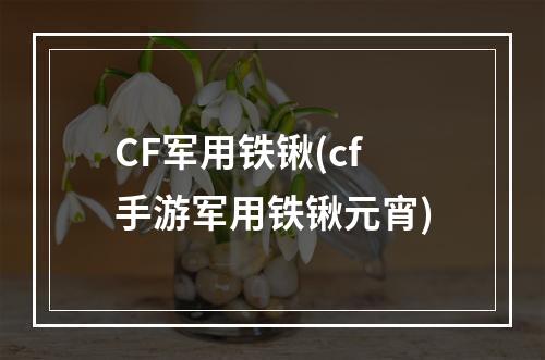 CF军用铁锹(cf手游军用铁锹元宵)