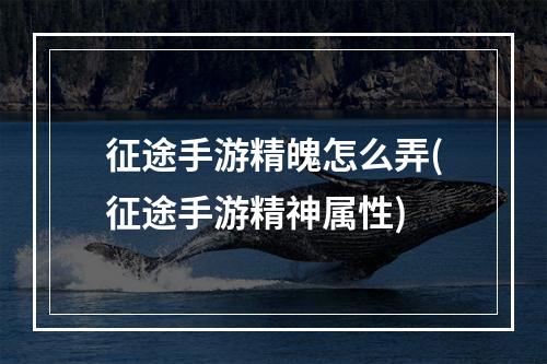 征途手游精魄怎么弄(征途手游精神属性)