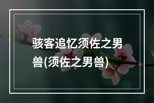 骇客追忆须佐之男兽(须佐之男兽)