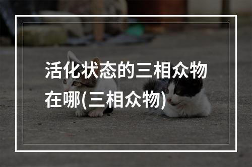 活化状态的三相众物在哪(三相众物)