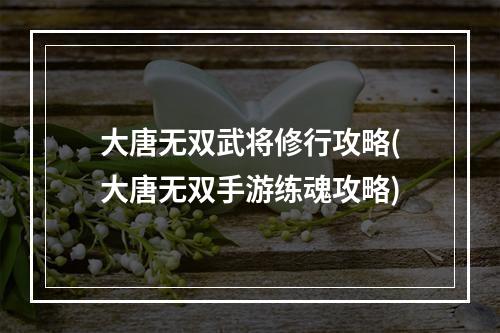 大唐无双武将修行攻略(大唐无双手游练魂攻略)