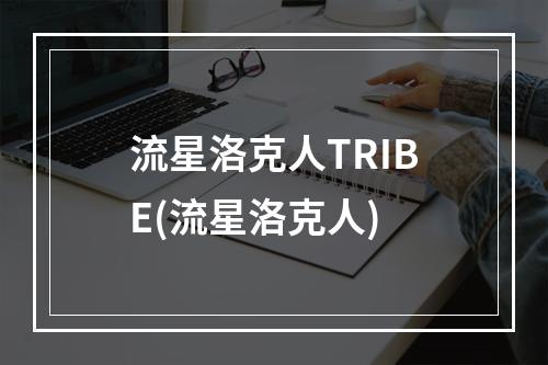 流星洛克人TRIBE(流星洛克人)